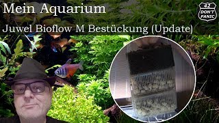 Juwel Bioflow M  Bestückung Update  Mein Aquarium 50 [upl. by Sansbury]