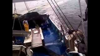 barco sardinero portola V de guaymas lance en topo [upl. by Peltier251]