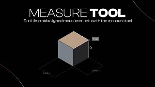 Precision in Plasticity  Dimension and Measure [upl. by Forsta]