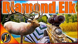 Giant Diamond Rocky Mountain Elk on the Black Bear Grind [upl. by Tearle969]