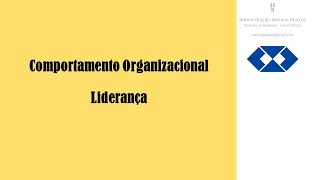 Comportamento Organizacional  Liderança [upl. by Biddie151]