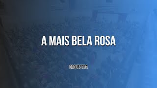 Igreja Apostólica  A MAIS BELA ROSA  coral [upl. by Einolem]