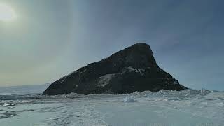 Inaccessible Island Weddell Seal Pupping Colony [upl. by Saerdna]