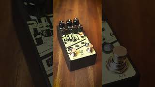 Lets listen to the Walrus Audio 385 MkII Dynamic Overdrive shorts [upl. by Madeline]