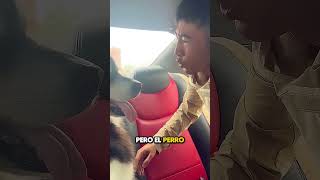 Este Hombre Trató de Engañar a Su Perro para Que Bajara del Auto y No Vas a Creer lo Que Pasó [upl. by Barcot]