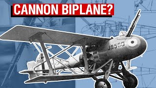 Why Fit A Biplane With A 37mm COW Gun  Vickers 161 Aircraft Overview 38 [upl. by Yartnoed]