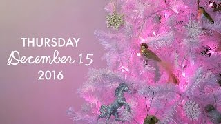 A Very Voolenvine Vlogmas Day 15  quotMittens Need to Happenquot [upl. by Dickey]