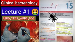 Bacteriology Clinical Classification 🛑 LECTURE 1 Grampositive Gramnegative thick bacteria [upl. by Gally]