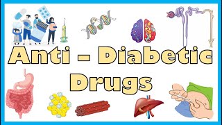 AntiDiabetic Medications  Types Mechanism Of Action Indications Side Effects Contraindications [upl. by Mallis257]