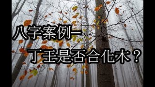 【五行派八字】八字案例─丁壬是否合化木？可開cc字幕，繁簡體皆有 [upl. by Leuname363]