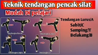 4 Teknik tendangan pencak silat gampang banget [upl. by Bodwell]