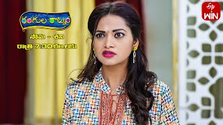 Rangula Ratnam Latest Promo  Episode No 695  5th February 2024  ETV Telugu [upl. by Ecadnak]