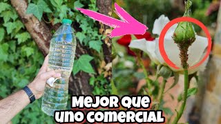 Método que sorprendió a un JARDINERO de 60 AÑOS INSECTICIDA CASERO PARA PLANTAS con AJO  Huerta [upl. by Bohlin588]