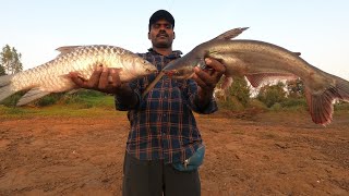 mahseer fish the strongest fiesh water fish टाकरी मासा पकडला [upl. by Ahseki]