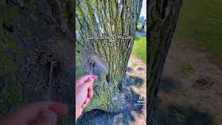 Geocaching Difficulties Level 15 [upl. by Eitra]