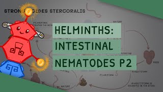 Helminths Intestinal Nematodes Part 2 features clinical importance diagnosis treatment [upl. by Edahc]