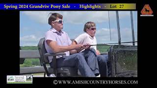 2024 Spring Grandview Pony Sale [upl. by Yearwood]