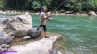 Tangkap Ikan pakai umpan bulu Ayam Mancing ikan mahseer di air jernih part 2 [upl. by Jt]