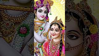 Krishna status video ❤️ radhakrishnastatus krishna shorts [upl. by Akamaozu]