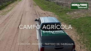 CAMPO AGRICOLA  PARTIDO DE DAIREAUX  380 HECTAREAS [upl. by Arec]