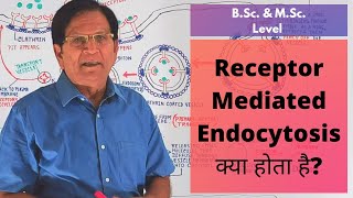 ReceptorMediated Endocytosis  BSc amp MSc Level [upl. by Ias908]