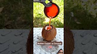 1000 °C Molten Copper vs Coconut satisfying experiment science asmr moltencopper shorts [upl. by Yemarej203]