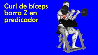 Ejercitar el bíceps con la rutina curl de bíceps barra Z en predicador [upl. by Amhsirak]