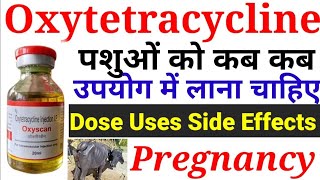 Oxytetracycline antibiotic injection uses in goatबकरियों में ऑक्सी टेट्रासाइक्लिन इंजेक्शन का उपयोग [upl. by Delmer]