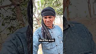 जेल से भीमा आ गया viralvideo talking shots video fanny Daylong soothing Hindi song vayral [upl. by Sisak]