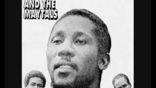 Toots And The Maytals  Louie Louie [upl. by Swerdna]