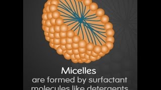 Micelle Function Structure and Formation [upl. by Ebocaj17]