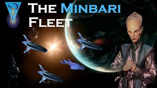 The Babylon Project Earth Minbari War Battle of the Line [upl. by Htirehc]