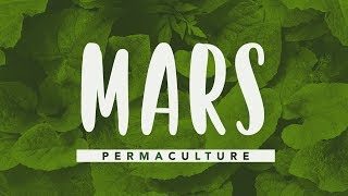 Que faire dans son jardin permaculture en mars permaculture [upl. by Day]