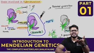 Mastering BASICS OF MENDELIAN GENETICS  Principles of Inheritance and Variations  CLASS 01 [upl. by Rashidi]