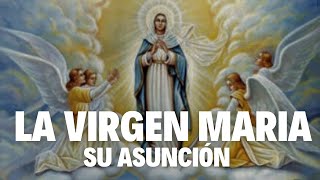 La Asunción de la Virgen Maria [upl. by Brunella]