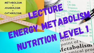 Energy Metabolism Glycolysis Ketogenesis Starvation [upl. by Brill]