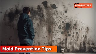 Mold Prevention Tips  Mold Busters [upl. by Nysilla986]