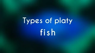 Types of Platy Fish [upl. by Azar996]