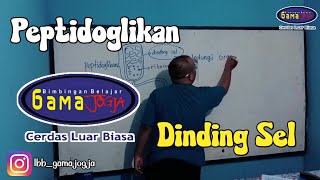 Peptidoglikan Dinding Sel  Biologi [upl. by Dorolisa]