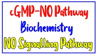 cGMP Pathway  NO cGMP pathway  NO signaling  NO induced vasodilation  Cell signaling [upl. by Yatnuahc531]