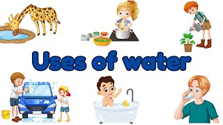 Water Wonders Fun Experiments for Little Scientists  Animation on uses of water  kindergarten [upl. by Arihaj625]