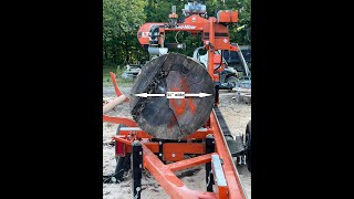 Amazing Wood Mizer LT 40 Sawmill in Action woodmizer woodmizersawmill woodmizerlt40 [upl. by Alexis]