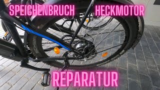 Reparatur Speichenbruch Heckmotor EBike Größe bestimmen NCM Moscow Milano [upl. by Nrubyar265]