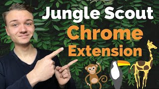 Das Tool um die 10000€ Nischen zu finden  Jungle Scout Chrome Extension Tutorial [upl. by Bonnice5]