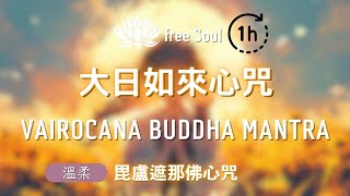 大日如來心咒毘盧遮那佛心咒 🎧1 HOUR 💠光明庇護 Vairocana Buddha Mantra [upl. by Kyne]