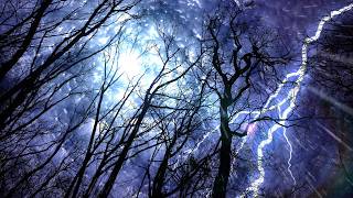 Forest Rain amp Thunderstorm Sounds 10 Hours  Sleep or Study to Rain Falling White Noise Ambiance [upl. by Iretak]