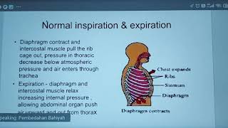 Management of Rib Fracture and Flail Chest [upl. by Dleifrag]