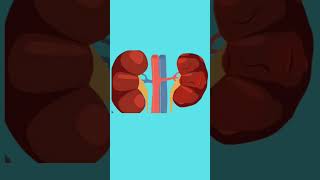 kidney kharab hone ke lakshanshort science medical fact health [upl. by Carthy519]