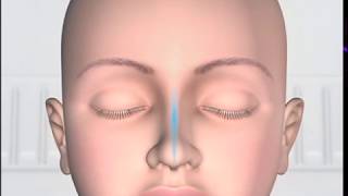 Spiritual Reality of Meditation  Absorption of Cosmic Energy  Detailed Explanation  ENGLISH [upl. by Akeryt663]