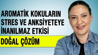 Stres ve Anksiyeteye İyi Gelen Aromatik Kokular [upl. by Accire]